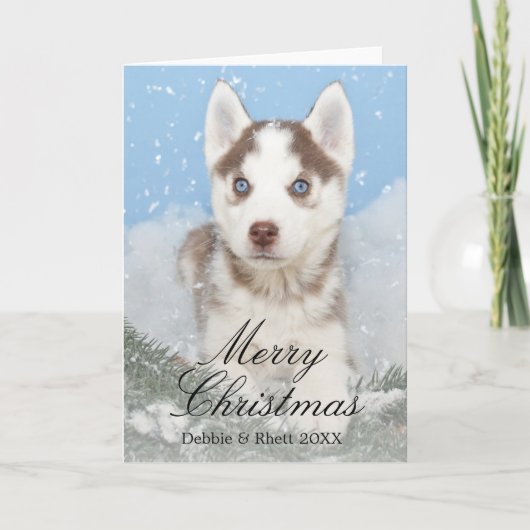 雪に坐っている青い目のハスキーな子犬 シーズンカード (正面)