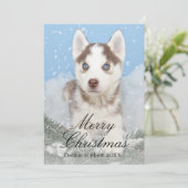 雪に坐っている青い目のハスキーな子犬 シーズンカード (スタンド正面)