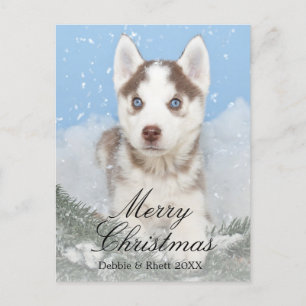 雪に坐っている青い目のハスキーな子犬 シーズンポストカード