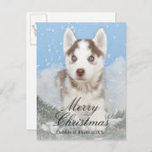 雪に坐っている青い目のハスキーな子犬 シーズンポストカード (正面/裏面)