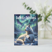 雪に威厳のある白い狼 ポストカード (スタンド正面)