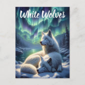 雪に威厳のある白い狼 ポストカード (正面)