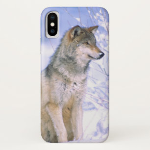 雪に座るタインバーウルフ、タイセイハイイロオオカミ iPhone X ケース