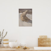 雪に横たわるホッキョクグマヴィンテージイラストレーション ポスター (キッチン)