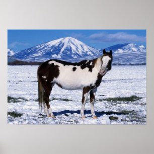 雪に立っているペンキの馬 ポスター