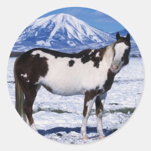 雪に立っているペンキの馬 ラウンドシール