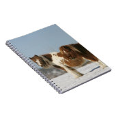 雪に立っているミニチュア馬 ノートブック (右側)