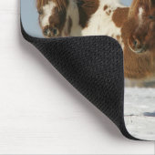 雪に立っているミニチュア馬 マウスパッド (コーナー)