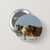 雪に立っているミニチュア馬 缶バッジ (正面&裏面)