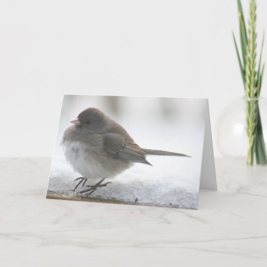 雪に立っている雪の鳥 カード (正面)