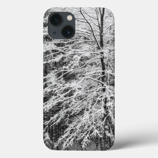 雪に縁取られたメープルの木 Case-Mate iPhoneケース (裏面)