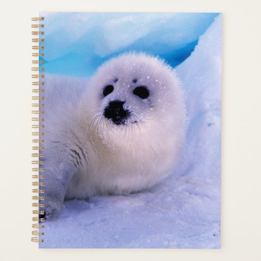 雪に覆われたアザラシの赤ちゃん プランナー手帳 (正面)