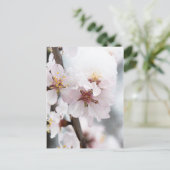 雪に覆われたアーモンドの木の花 ポストカード (スタンド正面)