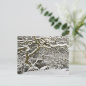 雪に覆われたイロハモミジ ポストカード (スタンド正面)