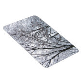 雪に覆われたオーク材 マグネット (右側)