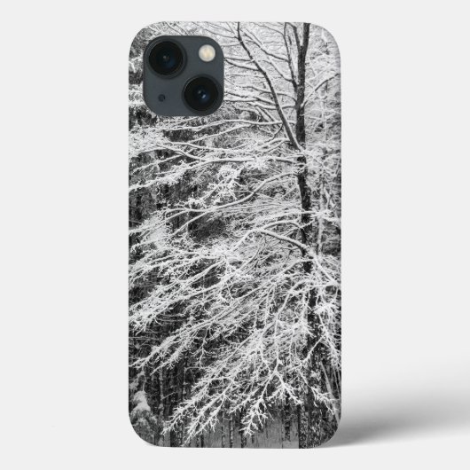 雪に覆われたカエデの木の線画 Case-Mate iPhoneケース (裏面)
