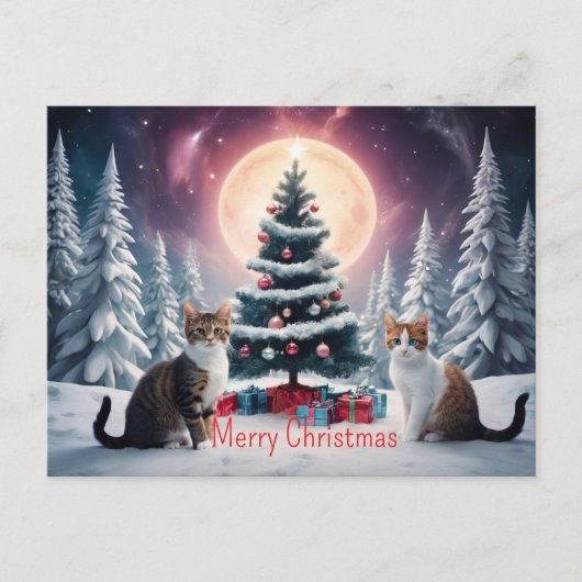 雪に覆われたクリスマスツリー ポストカード (正面)