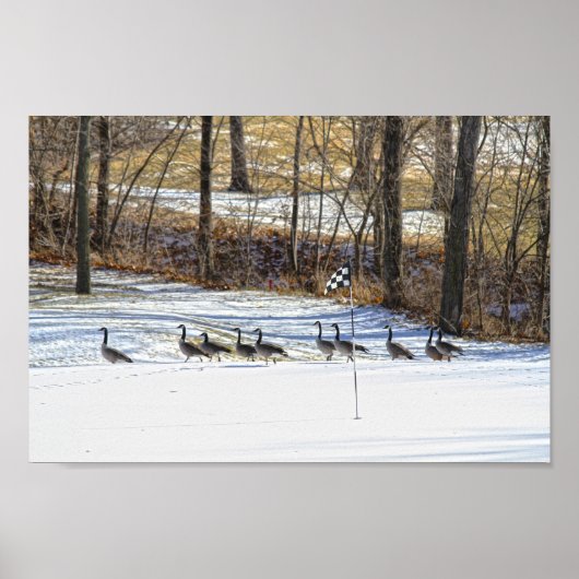 雪に覆われたゴルフ場でカナダガチョウ ポスター (正面)