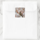 雪に覆われたサンザシの上で成虫の杉がよろめいていた スクエアシール (バッグ)