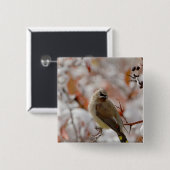 雪に覆われたサンザシの上で成虫の杉がよろめいていた 缶バッジ (正面&裏面)