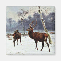 雪に覆われたシカとシカ