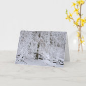 雪に覆われたシラカバの木立 カード (黄色い花)