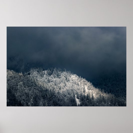 雪に覆われたトウヒの森の上の暗闇と太陽 ポスター (正面)