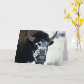 雪に覆われたバッファロー カード (黄色い花)