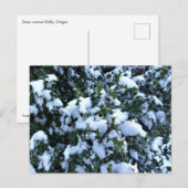 雪に覆われたホリー ポストカード (正面/裏面)
