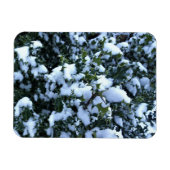 雪に覆われたホリー マグネット (横)