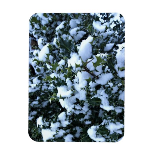 雪に覆われたホリー マグネット (縦)