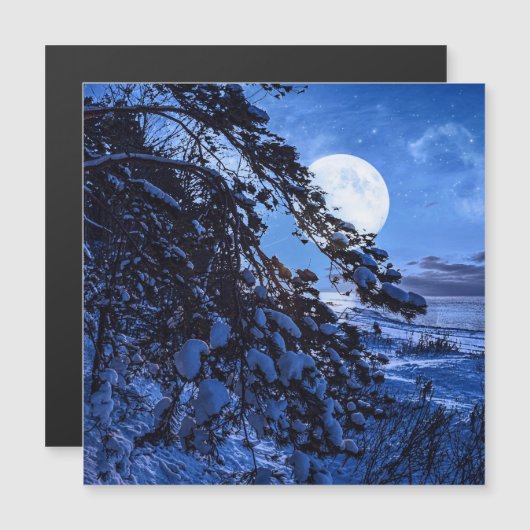 雪に覆われたモミの木と夜の海の海岸の上の月 (正面/裏面)