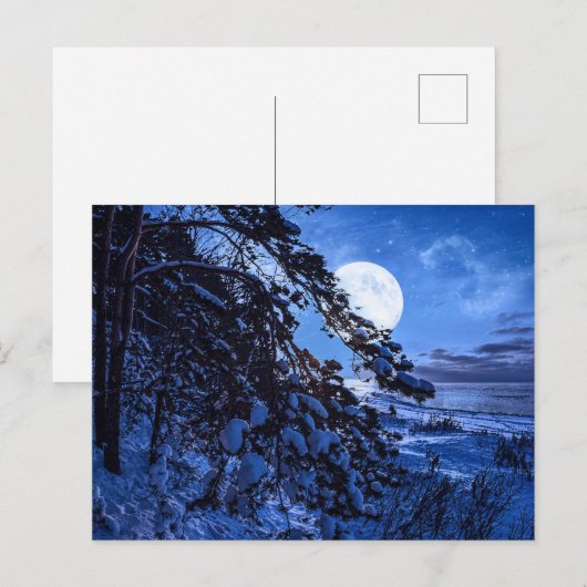 雪に覆われたモミの木と夜の海の海岸の上の月 シーズンポストカード (正面/裏面)