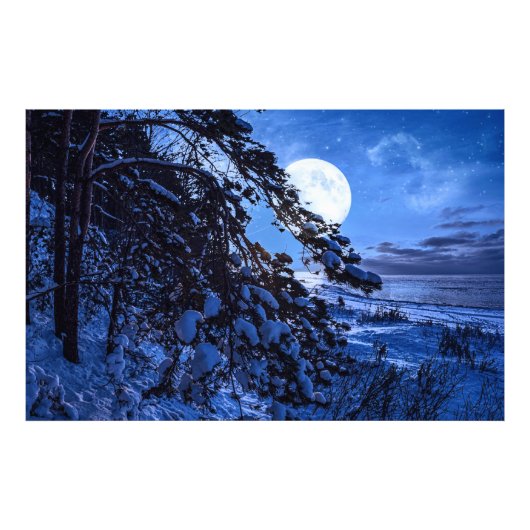 雪に覆われたモミの木と夜の海の海岸の上の月 フォトプリント            (正面)