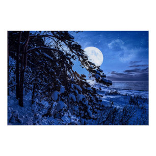 雪に覆われたモミの木と夜の海の海岸の上の月 ポスター