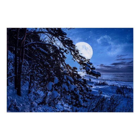 雪に覆われたモミの木と夜の海の海岸の上の月 ポスター (正面)