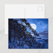 雪に覆われたモミの木と夜の海の海岸の上の月 ポストカード (正面/裏面)