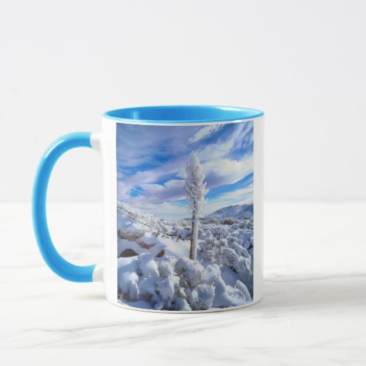 雪に覆われたユッカ マグカップ (左)