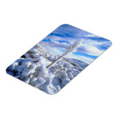 雪に覆われたユッカ マグネット (左側)