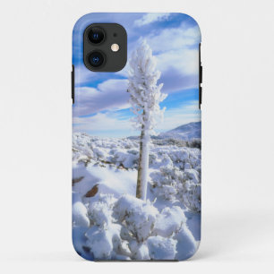 雪に覆われたユッカ iPhone 11 ケース