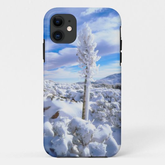 雪に覆われたユッカ Case-Mate iPhoneケース (裏面)