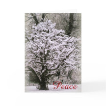 雪に覆われたリンゴの木