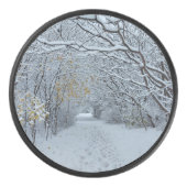 雪に覆われた公園 アイスホッケーパック (正面)