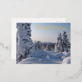 雪に覆われた冬の景色クリスマス 箔シーズンポストカード (正面/裏面)