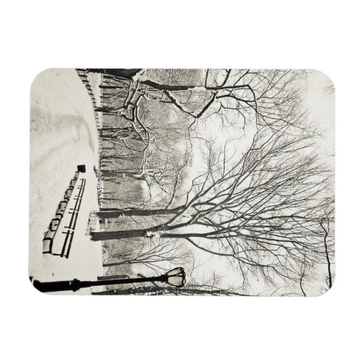 雪に覆われた冬の木 マグネット (横)