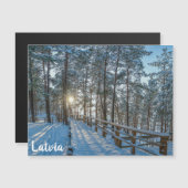 雪に覆われた冬の森を横切る木道 (正面/裏面)