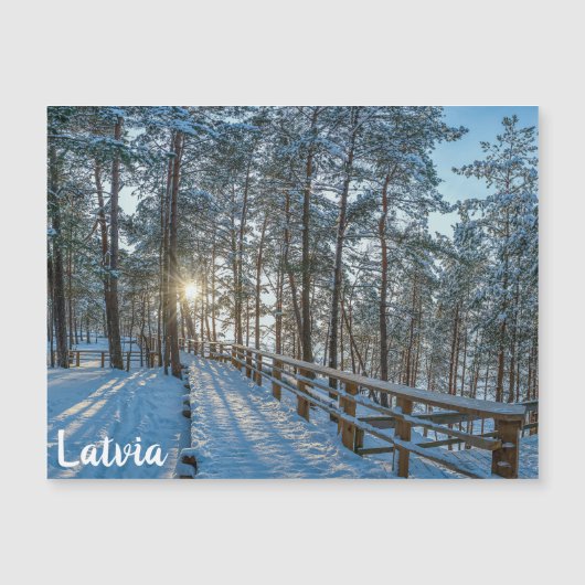 雪に覆われた冬の森を横切る木道 (正面)