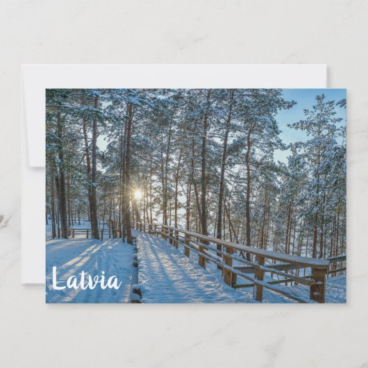 雪に覆われた冬の森を横切る木道 (正面)