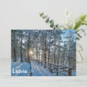 雪に覆われた冬の森を横切る木道 (スタンド正面)