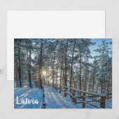 雪に覆われた冬の森を横切る木道 (正面/裏面)